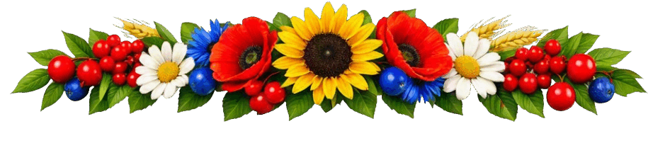 110000go-ec4c-922x209.png