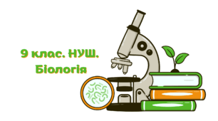 Робочий зошит з біології. Біологія. 9 клас. НУШ. На основі підручника П. Г. Балана та ін.