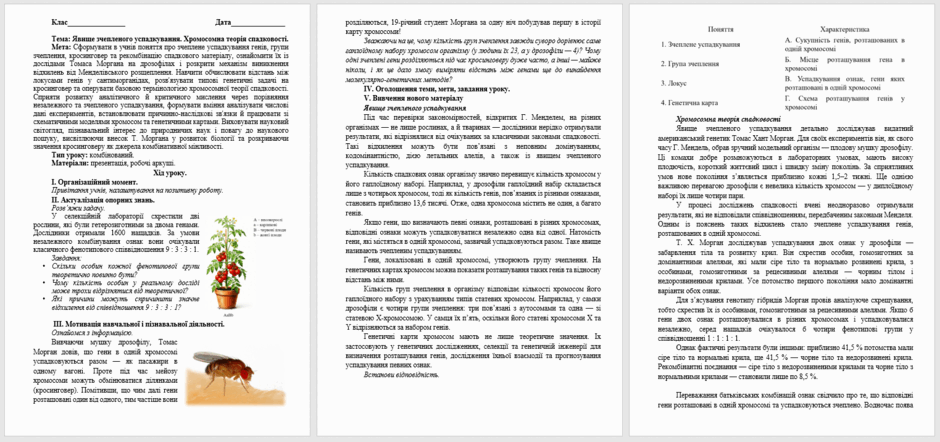 110002iw-194a-940x442.png