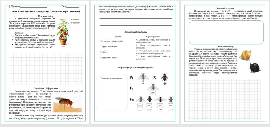 110002iy-4b9b-940x445.png