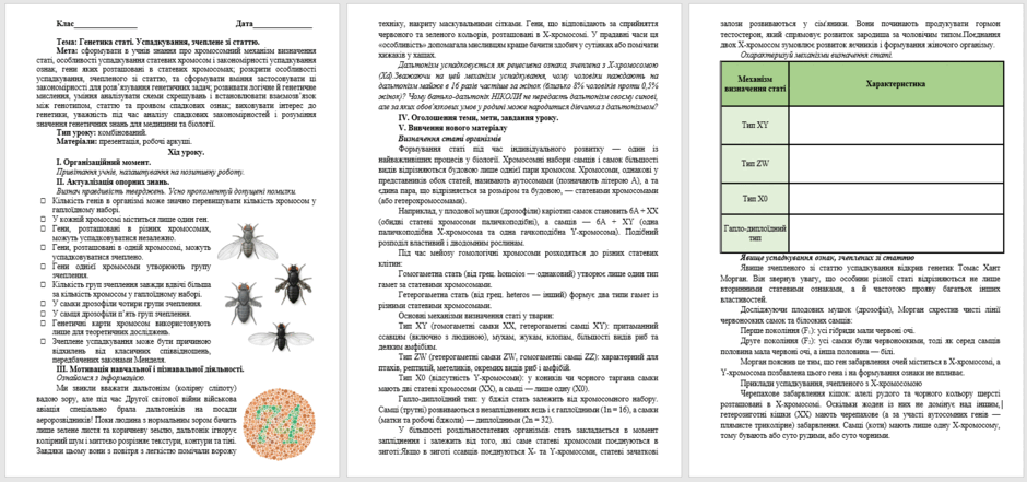 110002jr-5254-940x441.png