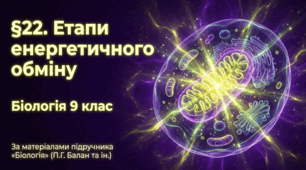 Презентація "§ 22. Етапи енергетичного обміну " 9 клас НУШ