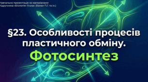 Презентація "§ 23. Особливості процесів пластичного обміну. Фотосинтез" 9 клас НУШ
