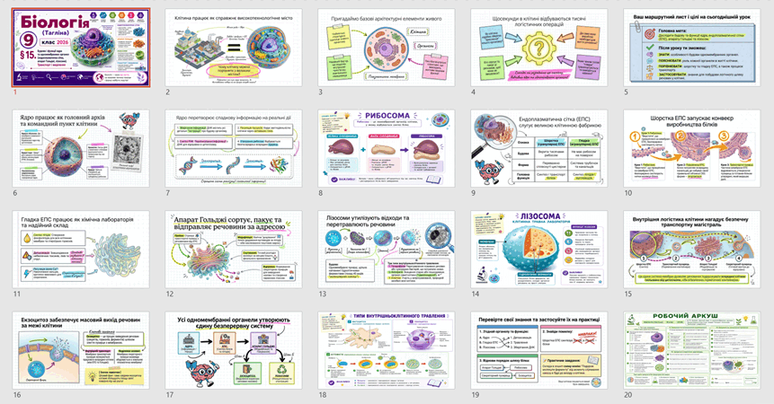 1100036t-d06f-861x450.png