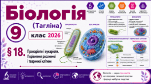 Прокаріоти і еукаріоти. Порівняння рослинної і тваринної клітини. Презентація, інфографіка, робочий аркуш