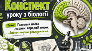 § 10. Конспект уроку "Головний мозок людини: передній мозок. Лабораторне дослідження  "Вивчення будови головного мозку людини