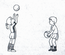 110007kd-7154-259x218.png