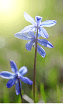 11000817-2657-128x211.png