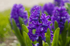 1100081o-8d44-143x93.png