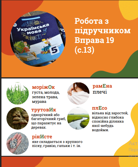 11000abg-3665-483x583.png