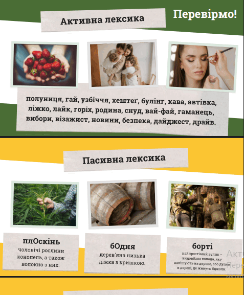 11000aea-e0d2-477x577.png