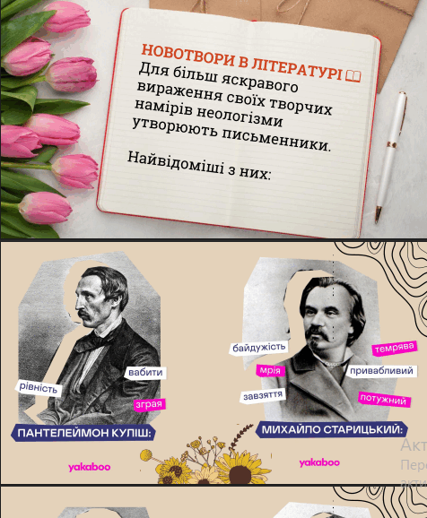 11000aff-95ae-476x578.png
