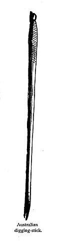 11000bf6-aa18-120x483.jpg