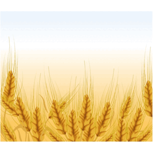 11000cb8-884c-312x312.png
