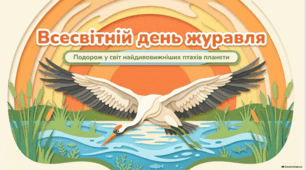 Журавлі: вартові природи та символи надії.