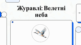 Журавлі: вартові природи та символи надії.