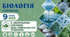 Неорганічні сполуки: вода, мінеральні солі та кислоти. Презентація, інфографіка, робочий аркуш