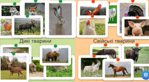 Класифікація "Дикі та свійські тварини"