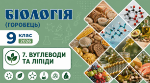 Вуглеводи та ліпіди.Презентація, інфографіка, робочий аркуш