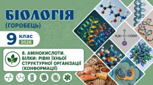 Амінокислоти. Білки: рівні їхньої структурної організації (конформації). Презентація, інфографіка, робочий аркуш