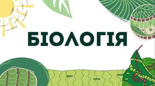 § 6. Структура та біологічні функції білків
