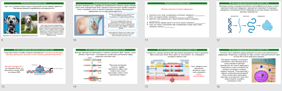 11000gie-a638-940x304.png