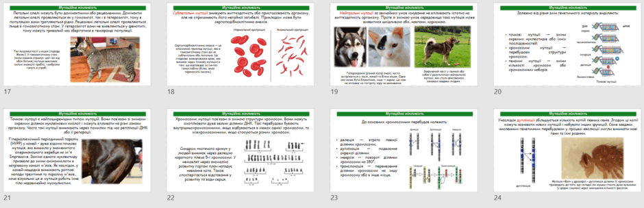 11000gjc-3776-940x304.png