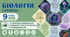 Неклітинні форми життя: особливості їхньої організації  та функціонування. Презентація, інфографіка, робочий аркуш
