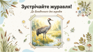 Презентація "Зустрічайте журавля" до Всесвітнього дня журавля