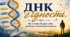 КОНСПЕКТ ПЕРШОГО УРОКУ «ДНК гідності.  Як слово будує або руйнує твою реальність»