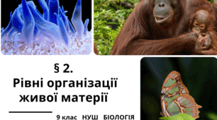 Презентація  до уроку  "§2. Рівні організації живої матерії"  9 клас  НУШ   Біологія