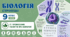 Хромосоми. Поняття про каріотип. Презентація, інфографіка, робочий аркуш