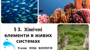 Презентація  до уроку  «§ 3.  Хімічні елементи в живих системах»  9 клас  НУШ    Біологія