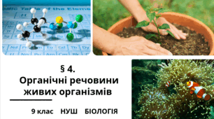Презентація  до уроку  «§ 4.Органічні речовини живих організмів»  9 клас  НУШ  Біологія