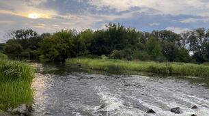 Ранок на річці