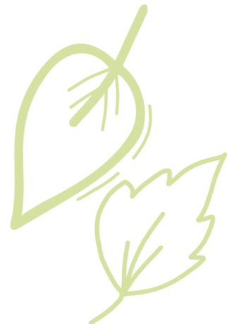 11000ptn-e799-322x459.png