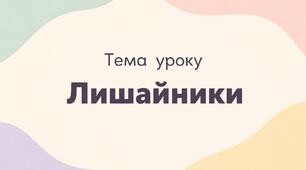 Лишайники