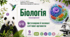 Цитоплазма й основні клітинні органели. Презентація, інфографіка, робочий аркуш