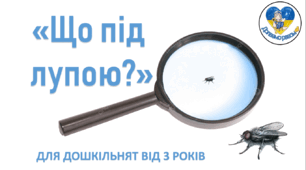 Дидактична гра "Що під лупою?"