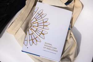 На зображенні може бути: книга, щоденник та текст «OF 展 VOCABULARY GLOBAL VOCABULARY A AMOSAIC RESILIENCE OF EXPERIENCES EXPERIENCES»