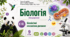 Біохімічні механізми дихання. Презентація, інфографіка, робочий аркуш