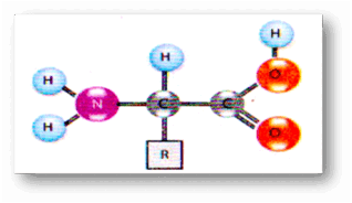 11000y3s-9676-318x184.png