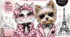 Fashion Animals — стильні розмальовки для дітей.