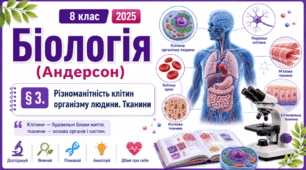 Різноманітність клітин організму людини. Тканини. Презентація, інфографіка, робочий аркуш