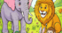 Welcome to the Animal Kingdom