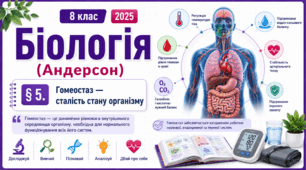 Гомеостаз — сталість стану організму. Презентація, інфографіка, робочий аркуш