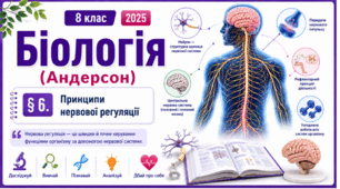 Принципи нервової регуляції. Презентація, інфографіка, робочий аркуш