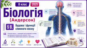 Будова і функції спинного мозку. Презентація, інфографіка, робочий аркуш