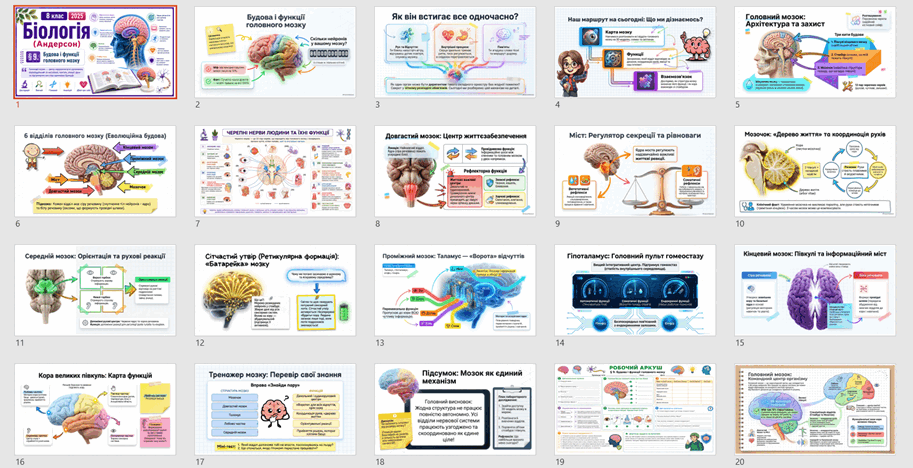 110010x3-2125-913x468.png