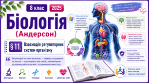 Взаємодія регуляторних систем організму. Презентація, інфографіка, робочий аркуш